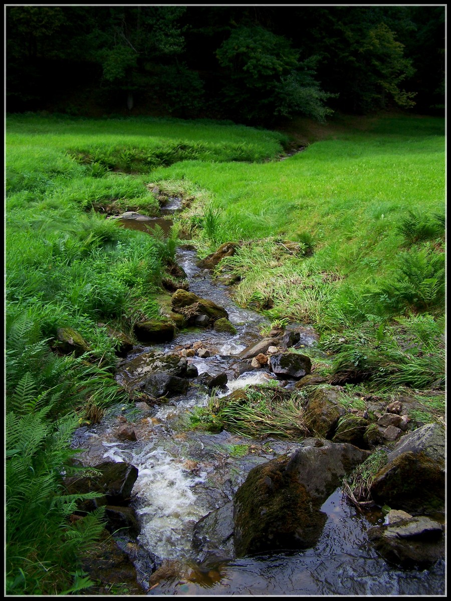 Potok v Terčině údolí