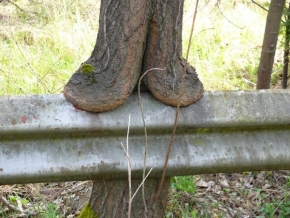 Stromy - Opěra svodidla