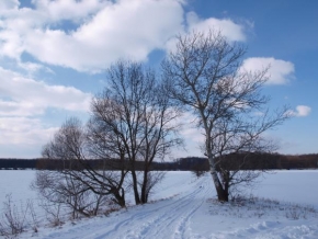 Stromy - Zimní cesta