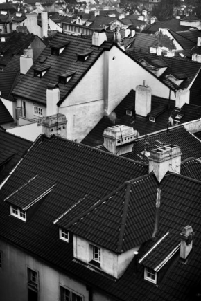 Architektura a památky - Pražské střechy
