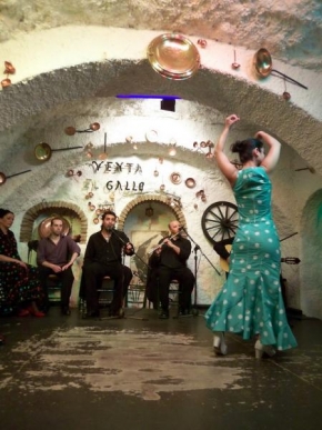 Fotograf roku na cestách 2009 - Flamenco