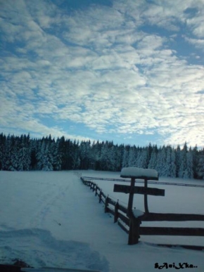 Krásy krajiny - Zimní louka