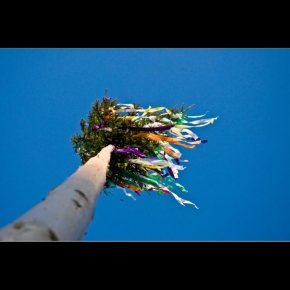 Stromy - Fotograf roku - kreativita - Májový strom