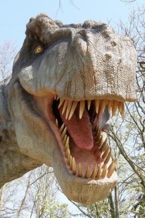 Petr Švejda - Tyrannosaurus Rex