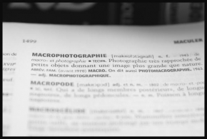 Makrofotografie - Macrophotographie