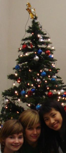 Stromy - Vánoční stromeček
