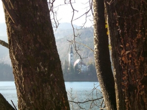 Stromy - Stromy u jezera Bled