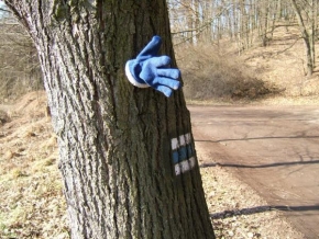 Stromy - Po modré