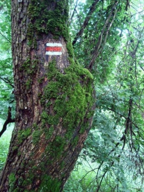Stromy - Horské označenie