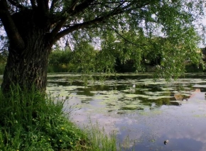 Mária Podsklanová - Pri jazere