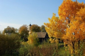 Stromy - Jeseň na žlto