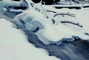 Krásy krajiny - Lednový potok