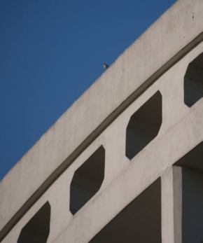 Detail v architektuře - Ptáček