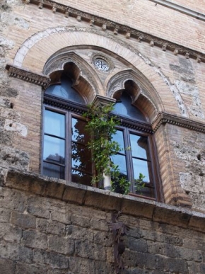 Detail v architektuře - Okno