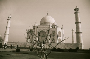 Úlovky z dovolené - Taj Mahal, India