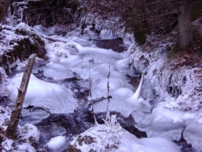 Fotograf roku v přírodě 2009 - Zamrznutý potôčik