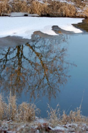 Krásy krajiny - Zrcadlení-řeka Morava