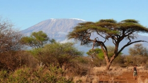 Krásy krajiny - Kilimandžáro