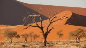 Krásy krajiny - Namibijské zátiší
