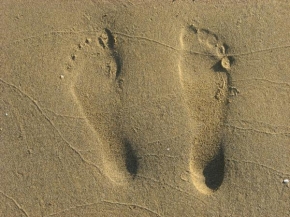 Úlovky z dovolené - Stopy v písku