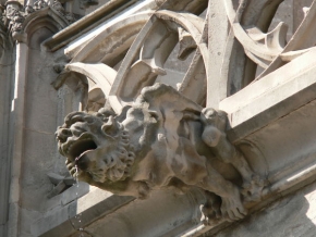 Detail v architektuře - Dom sv.Alžbety