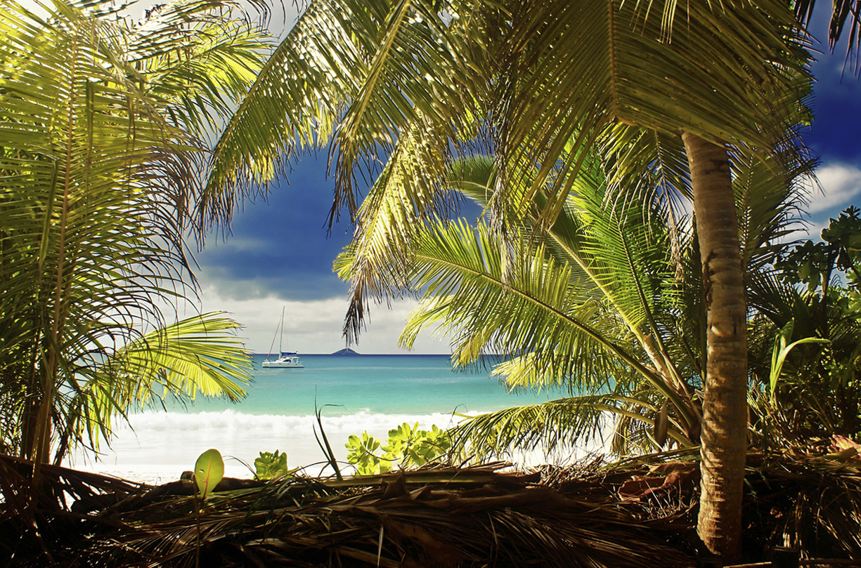 Ostrov praslin / seychelles/