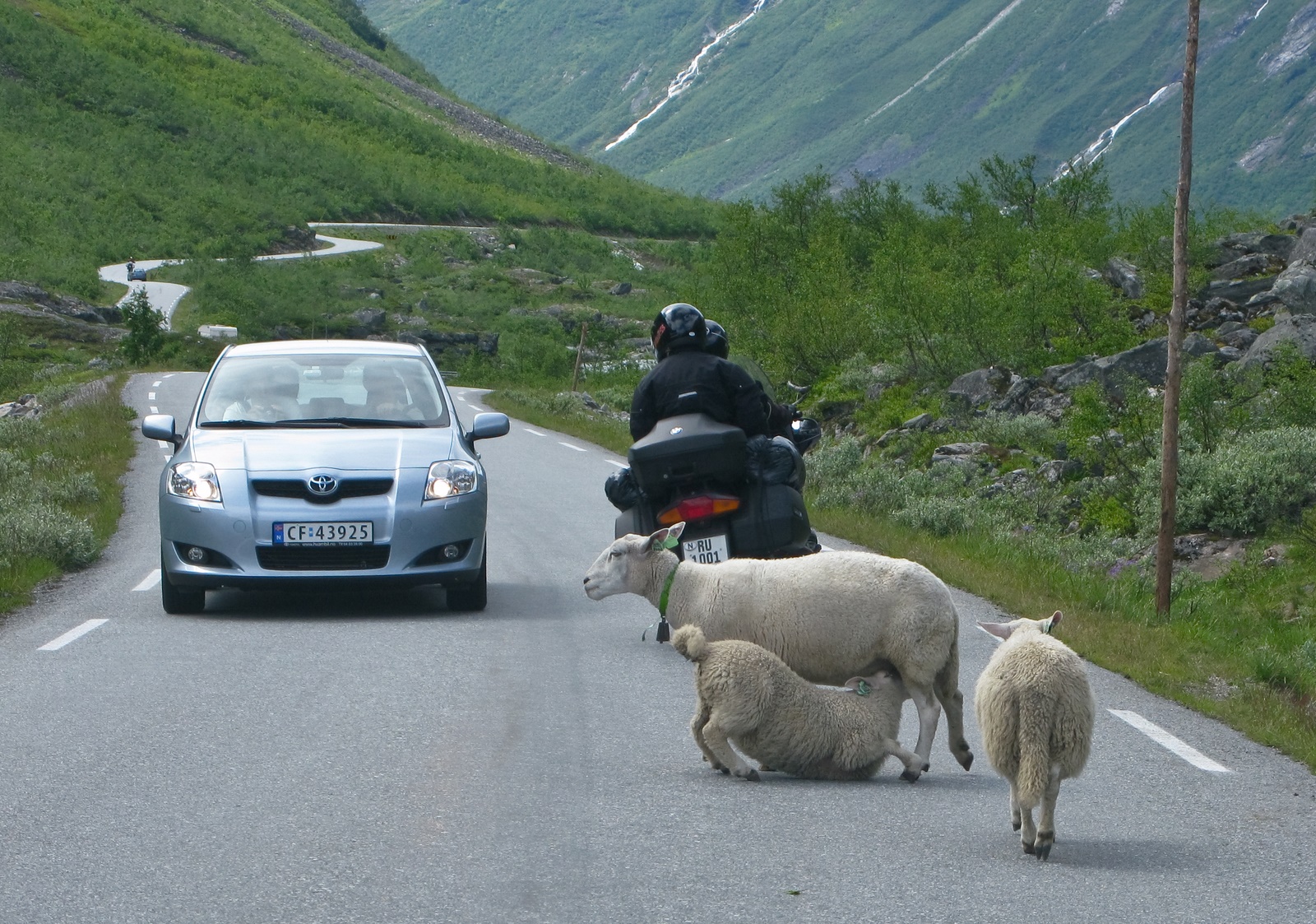 Hlad nepozna dopravne predpisy - Norsko