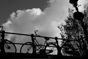 Černobílá poezie - Amsterdamské kolo
