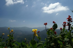 Život květin - V horách