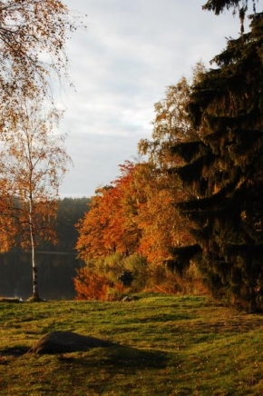 Krásy české a slovenské krajiny - Velký pařezitý rybník uprostřed podzimu