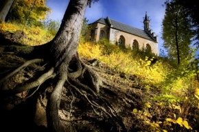 Místo, které nejraději fotografuji - Rozlehlé kořeny pod kostelíkem