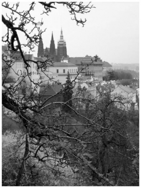 Místo, které nejraději fotografuji - Praha I