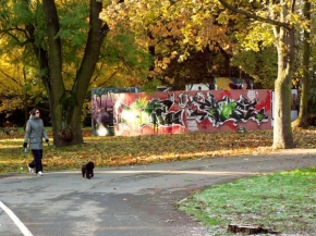 Místo, které nejraději fotografuji - Barevný podzim ve Smetanových Sadech