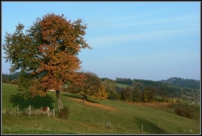 Josef Londa - Třešeň na podzim