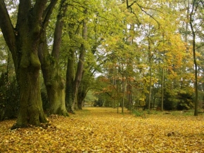 Místo, které nejraději fotografuji - Podzim v Čechách
