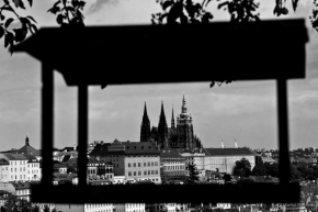 Místo, které nejraději fotografuji - Pražský hrad z ptačí perspektivy