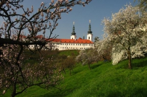 Místo, které nejraději fotografuji - Praha - Strahovský klášter