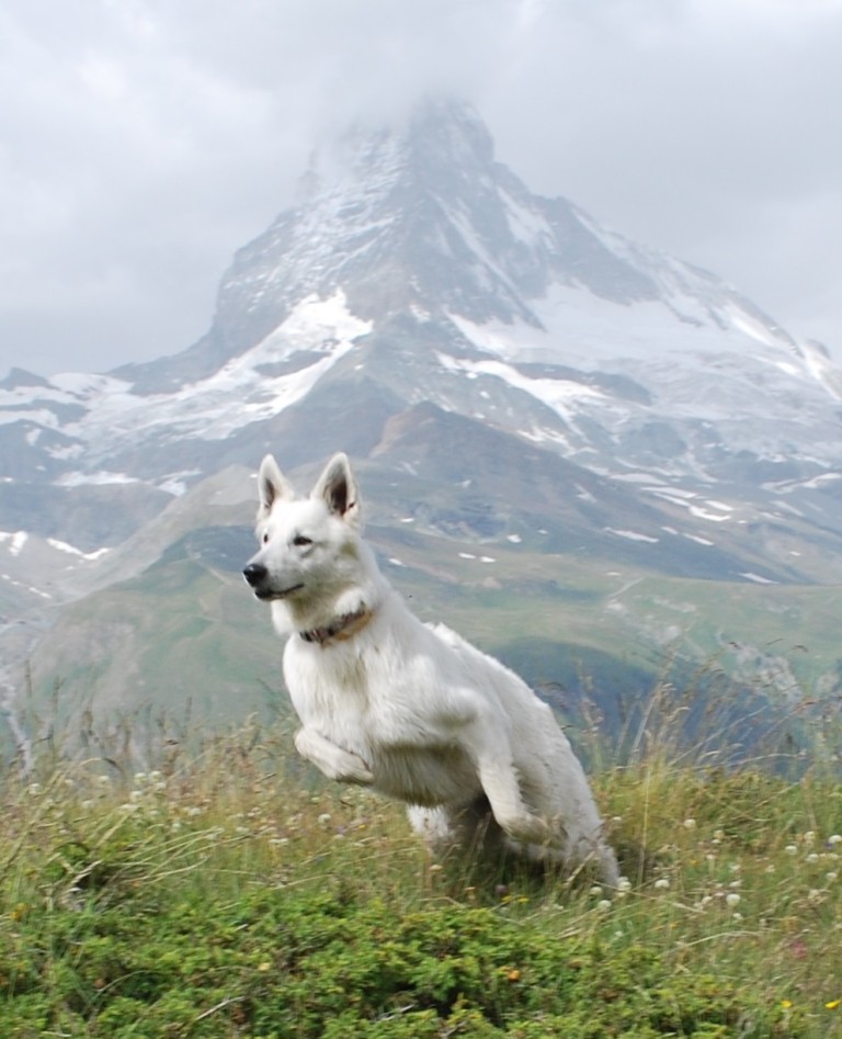 Matterhorn s chlupatou modelkou
