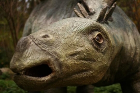 Svět zvířat - Stegosauras