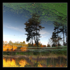 Barevná abstrakce - Zelené mraky podzimu
