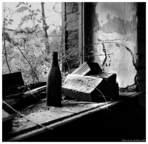 Černobílá poezie - Fotograf roku - Junior - Vzpomínka
