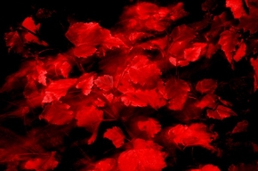 Barevná abstrakce - Červená a černá