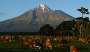 Svět zvířat - Tak se žije pod Mt Taranaki