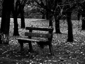 Černobílá poezie - Čekám, kdo si sedne