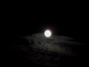 Dlouhé noci a život po setmění - New Moon