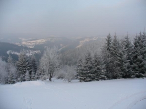 Fotograf roku v přírodě 2010 - Zimná krajina