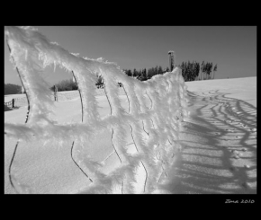 Fotograf roku v přírodě 2010 - Valašská zima