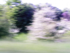 Barevná abstrakce - Stromy u silnice