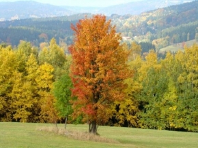 Krásy české a slovenské krajiny - Podzim