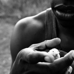 Černobílá poezie - Fotograf roku - Junior - Myš za patnáct korun